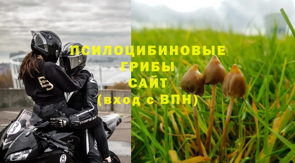 MESCALINE Аркадак