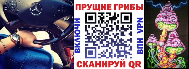 наркотики Хотьково МЕГА Псилоцибиновые грибы Psilocybe